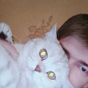  ,   , 24 ,     , c 