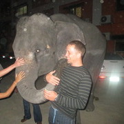 ���������� ����������, ���� ������� �����, 36 ���, ������������ ��� ������, ����� � ���������, c�������� ���������