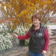  ,   , 65 ,   ,   