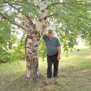 ���������� �����, ���� ������� ������, 54 ����, ������������ ��� c�������� ���������