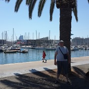 ���������� ����, ���� ������� �������, 43 ����, ������������ ��� ������, ����� � ���������, c�������� ���������