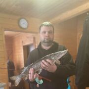  ,   , 41 ,   