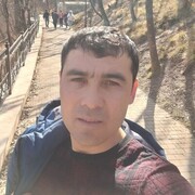  ,   Muza, 37 ,   ,   