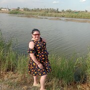  ,   , 38 ,   c 