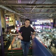  ,   , 37 ,   ,   