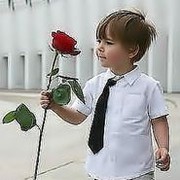  ,   , 29 ,   ,   , c 