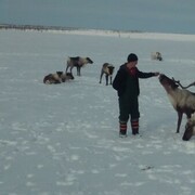 ���������� ����������, ���� ������� �������, 43 ����, ������������ ��� ������, ����� � ���������