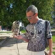 ���������� ���������, ���� ������� �������, 42 ����, ������������ ��� ������, ����� � ���������, c�������� ���������