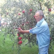  ,    , 57 ,   