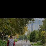 ���������� �����-���������, ���� ������� �����, 29 ���, ������������ ��� ������, ����� � ���������, c�������� ���������, ���������