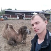 ���������� �����������, ���� ������� �������, 36 ���, ������������ ��� ������, ����� � ���������, c�������� ���������