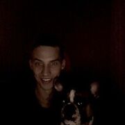 ���������� ������� ����, ���� ������� Robin, 36 ���, ������������ ��� ������, ����� � ���������, c�������� ���������