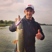 ���������� ����, ���� ������� ���������, 38 ���, ������������ ��� ������, ����� � ���������, c�������� ���������