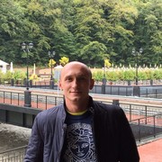  --,   , 41 ,   