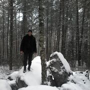 ���������� �����, ���� ������� ������, 37 ���, ������������ ��� ������, ����� � ���������