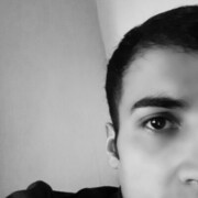   ,   Sino, 31 ,   ,   , c 