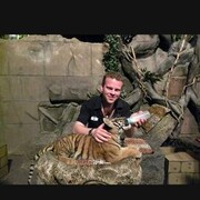 ���������� ����������, ���� ������� �������, 38 ���, ������������ ��� ������, ����� � ���������