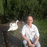  ,   , 52 ,     , c 