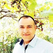  Frankfurt am Main,   , 44 ,   ,   