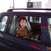 ���������� ������, ���� ������� ���� �������, 36 ���, ������������ ��� ����� � ���������, c�������� ���������