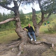  ,   , 53 ,   ,   