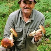 ���������� ����, ������� ���, 45