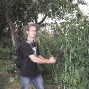   ,   , 42 ,   