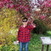 ���������� �����������, ���� ������� �������, 68 ���, ������������ ��� c�������� ���������