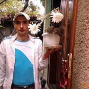 ���������� ������, ���� ������� �����, 39 ���, ������������ ��� ������, ����� � ���������, c�������� ���������