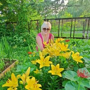  ,   , 56 ,   c 
