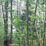 ���������� ������, ���� ������� ����, 36 ���, ������������ ��� ������, ����� � ���������, c�������� ���������