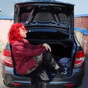 ���������� �������, ���� ������� ���������, 36 ���, ������������ ��� ����� � ���������, c�������� ���������