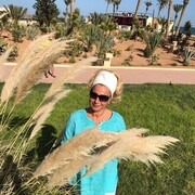  ,   , 53 ,   ,   