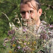 ���������� ������, ���� ������� �����, 46 ���, ������������ ��� ������, ����� � ���������, c�������� ���������