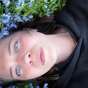  -,   , 28 ,   