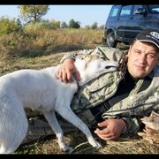 ���������� ������, ���� ������� �������, 41 ���, ������������ ��� ������, ����� � ���������