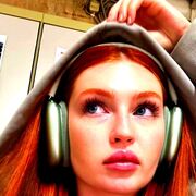 ���������� ���������, ������