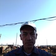 ���������� �������, ���� ������� ������, 55 ���, ������������ ��� c�������� ���������