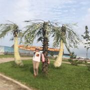  ,   , 56 ,     , c , 