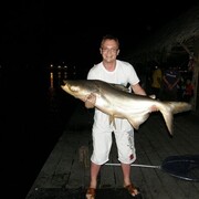 ���������� ������, ���� ������� ������, 45 ���, ������������ ��� ������, ����� � ���������, c�������� ���������