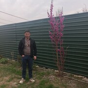  -,   , 32 ,   ,   
