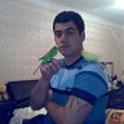 ���������� ����, ���� ������� Samir, 41 ���, ������������ 