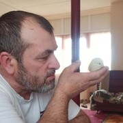  ,   , 51 ,   ,   
