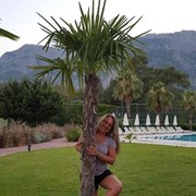 ���������� ������ ���, ���� ������� �����, 44 ����, ������������ 