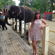 ���������� �����������, ���� ������� �����, 36 ���, ������������ ��� ������, ����� � ���������, c�������� ���������