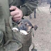 � ��� ��� ����