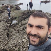  ,   Jigo, 41 ,   ,   