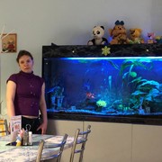 ���������� �������, ���� ������� ������, 41 ���, ������������ ��� ������, ����� � ���������, c�������� ���������