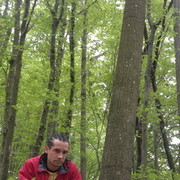  ,  pavel, 43