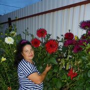 ���������� ������, ���� ������� ����, 64 ����, ������������ ��� ������, ����� � ���������